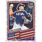 2026 Panini Stars & Stripes Prizm Baseball Hobby Box