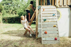 Plum Warthog Wooden Playcentre