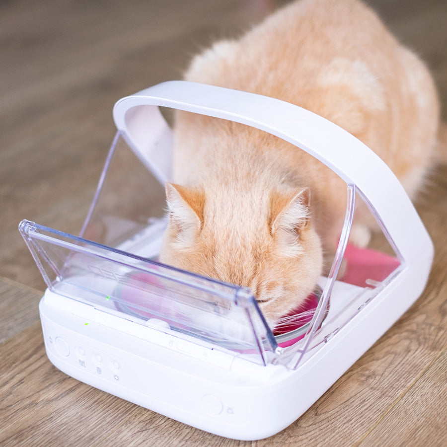 SureFeed Microchip Pet Feeder