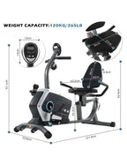 Recumbent Magnetic Exercise Bike – 8kg Flywheel