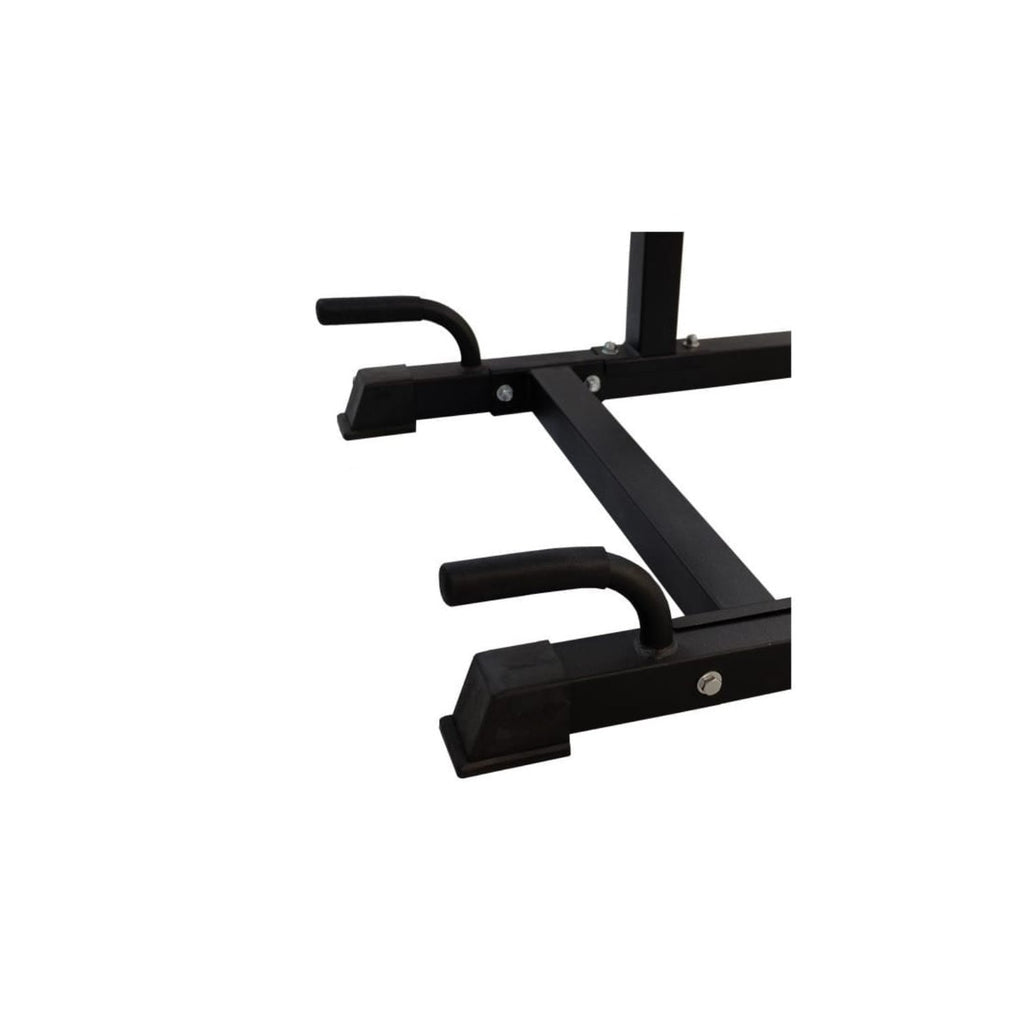 Multi Function Power Tower with Roman Chair Station